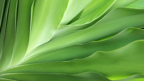 Startup - Equity Compensation