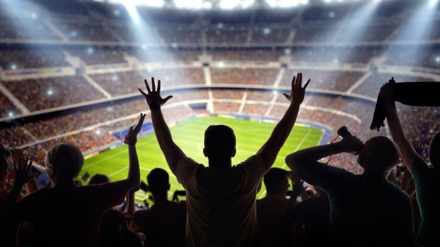 Fans at sports stadium