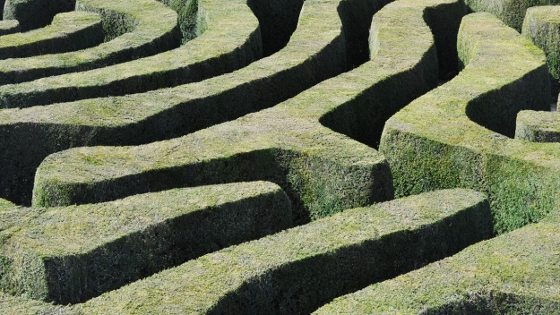 Maze made of hedges