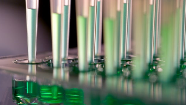 Vials of liquid and pipettes in a lab